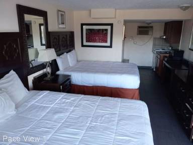 Main picture of PACE VIEW