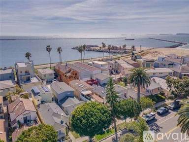 Main picture of 1602 Ocean Ave