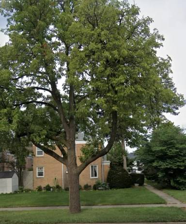 Main picture of 1424 N Harlem Ave
