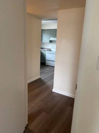Main picture of 207 Dundon Rd