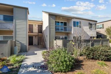 Main picture of 24431 Trevino Dr