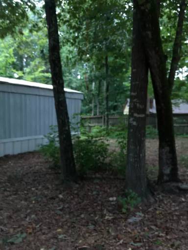 Main picture of 3406 Wessinger Rd