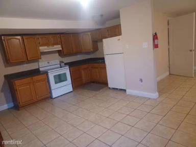 Main picture of 207 Manatawny St