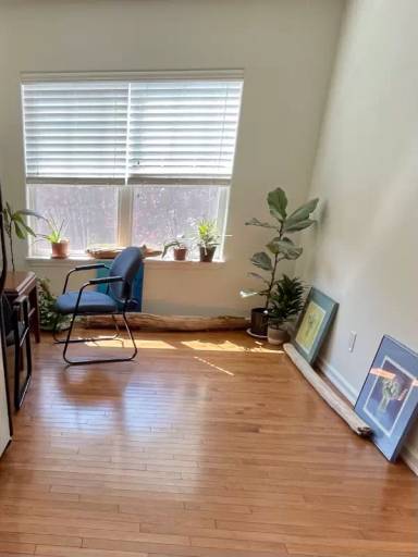 Main picture of 6368 23rd Ave SW