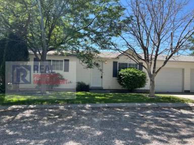 Main picture of 1426 Jensen St