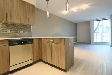 Main picture of 900 S Ashland Ave