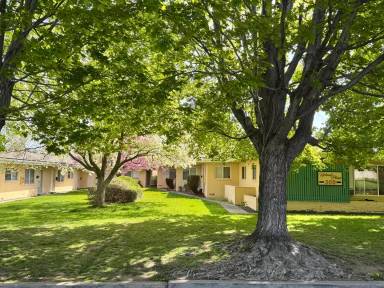 Main picture of 309 N 41st Ave