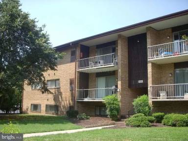 Main picture of 1010 Adams Ave