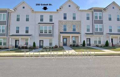 Main picture of 250 Cobalt Dr