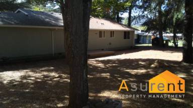 Main picture of 1163 2nd Ave