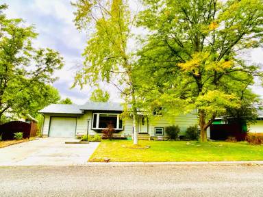 Main picture of 1618 Patricia Ln