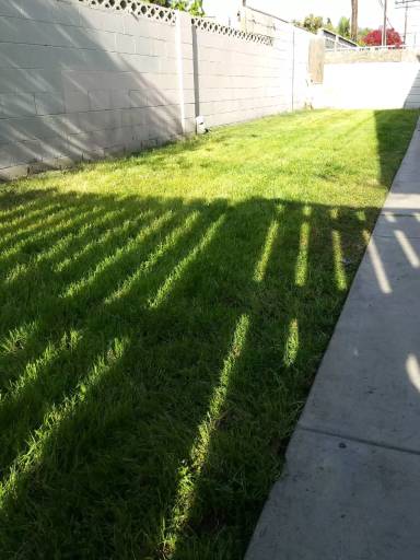 Main picture of 219 W Guinida Ln