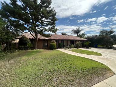 Main picture of 5711 Medio Luna Ave