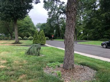 Main picture of 344 Andover Rd