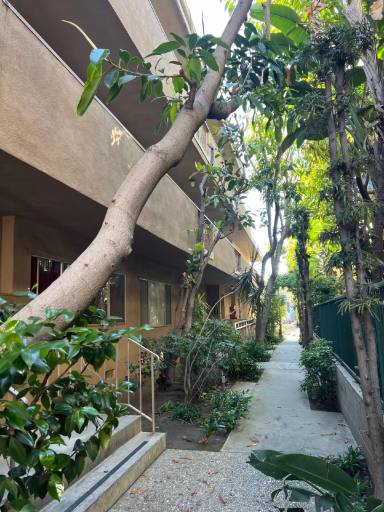 Main picture of 11924 Montana Ave