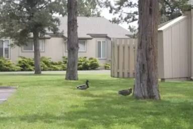 Main picture of 155 NE Craven Rd