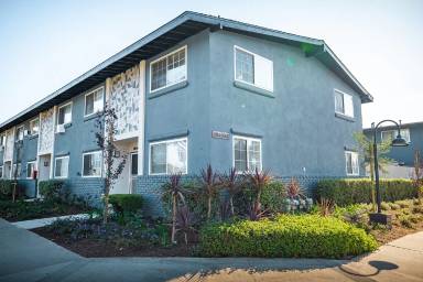Main picture of Orange Grove Apartments