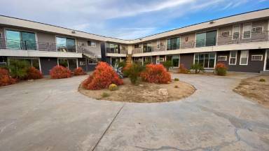 Main picture of Xav Willow Glen