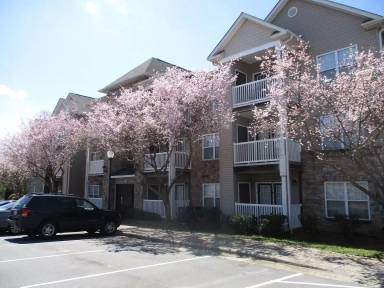 Main picture of 4455 Brassfield Dr