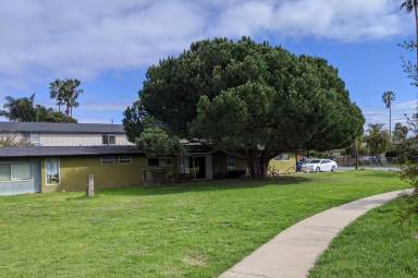 Main picture of 6610 Trigo Rd