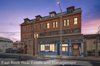 Main picture of 265 Orange St