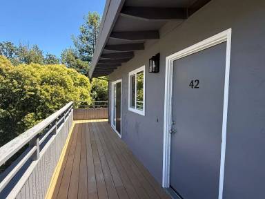Main picture of 40 Leafwood Cir