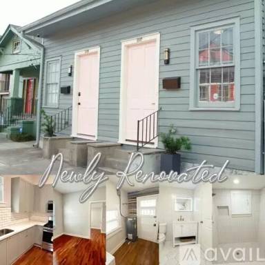 Main picture of 1229 Saint Ferdinand St