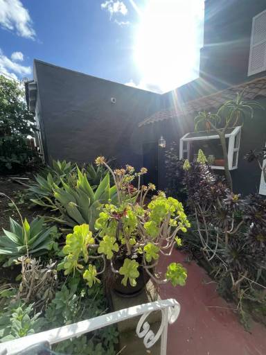 Main picture of 8653 Thermal St