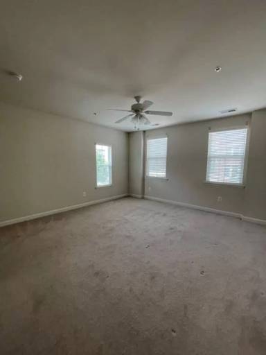 Main picture of 313 Community Center Ave