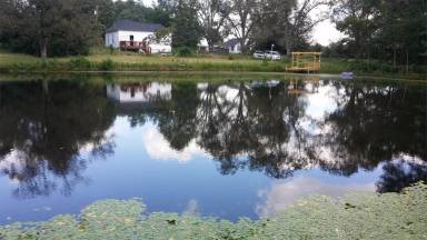 Main picture of 542 Riggins Ferry Rd