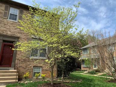 Main picture of 9612 Scotch Haven Dr