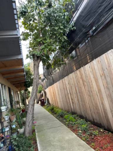 Main picture of 663 Alcatraz Ave