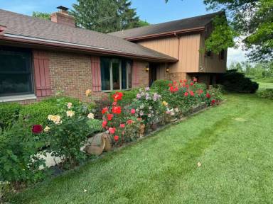 Main picture of 343 Zengel Dr