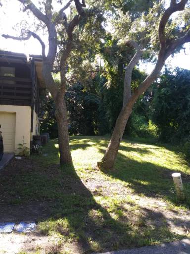 Main picture of 16 Ewing St