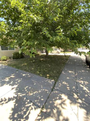 Main picture of 300 Haybert Ct