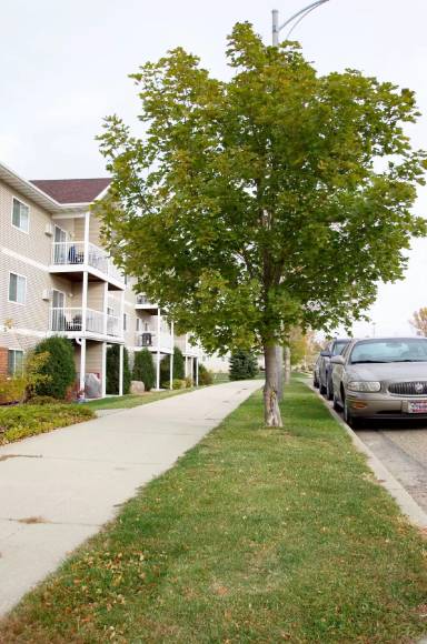 Main picture of Boulder Apartments