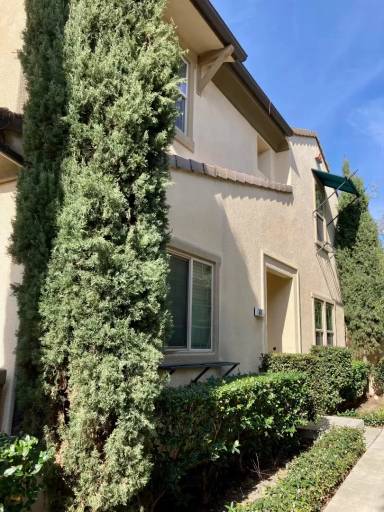 Main picture of 61 Keepsake