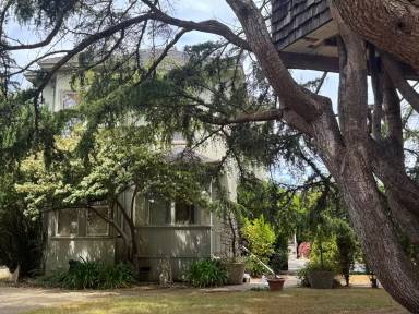 Main picture of 1033 Carson St