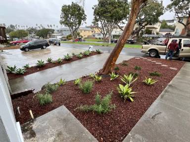Main picture of 309 Calle Miramar