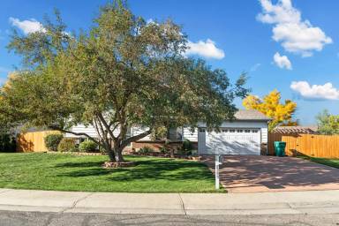 Main picture of 7289 Union Ct