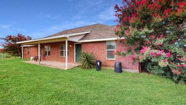 Main picture of 9834 Riskys Ranch Dr