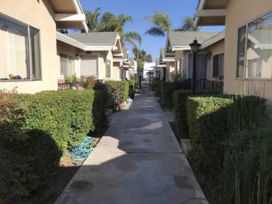 Main picture of 237 Olive Ave