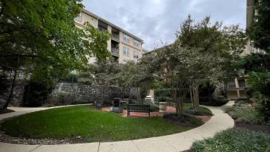 Main picture of White Flint Station Apartments