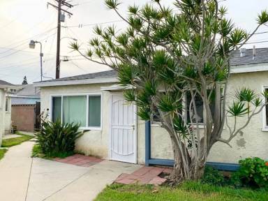 Main picture of 817 GREVILLEA