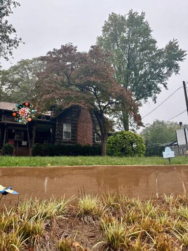 Main picture of 1920 Angelo St