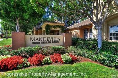 Main picture of Mandevilla