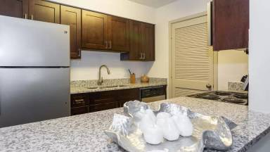 Main picture of ReNew Peachtree City