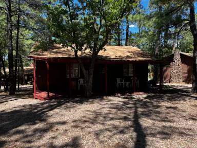 Main picture of 237 E White Mountian Blvd