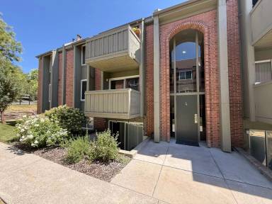 Main picture of 1174 S Foothill Dr