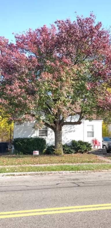 Main picture of 17168 Asbury Park